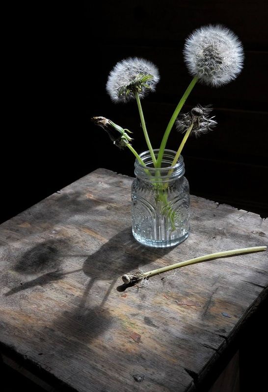 О, жизнь, ты прекрасна! фото превью