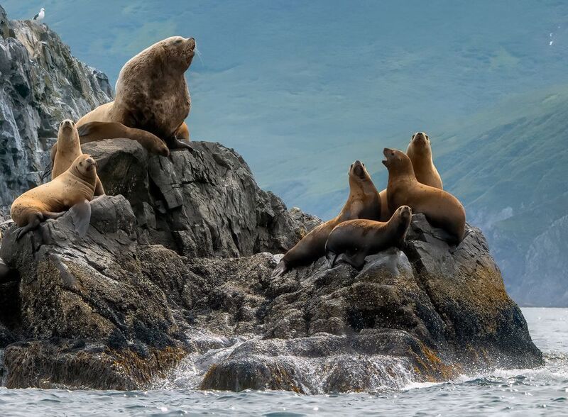 камчатка Храм семьи фото превью