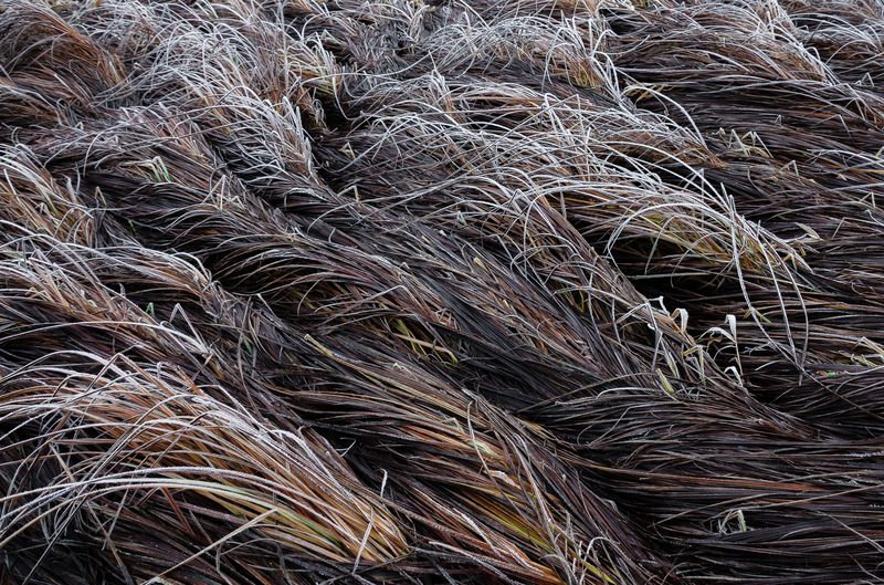 Волны фото превью