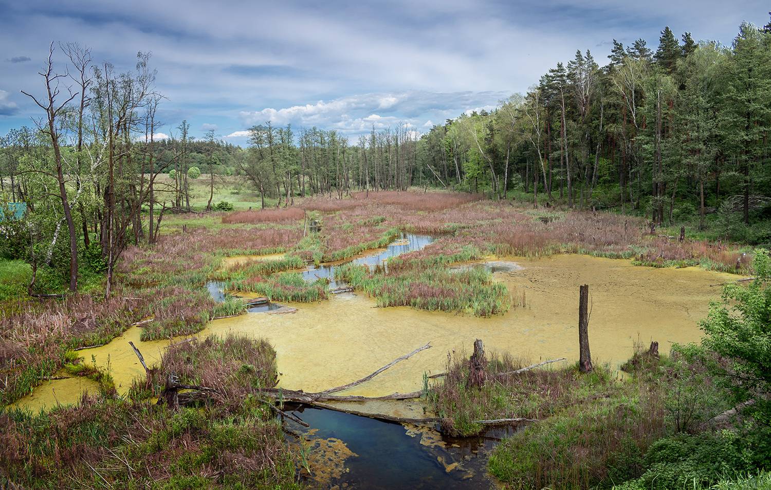 , Виктор Климкин