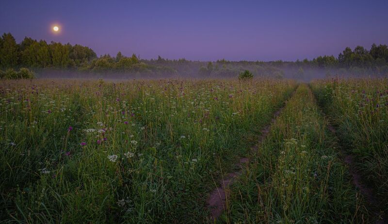 На перепутье фото превью