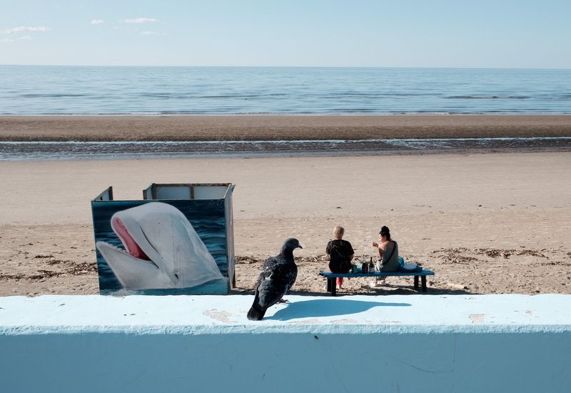 ягры, пляж, белое море, стрит, Голубь, белуха и две женщины на скамейке фото превью
