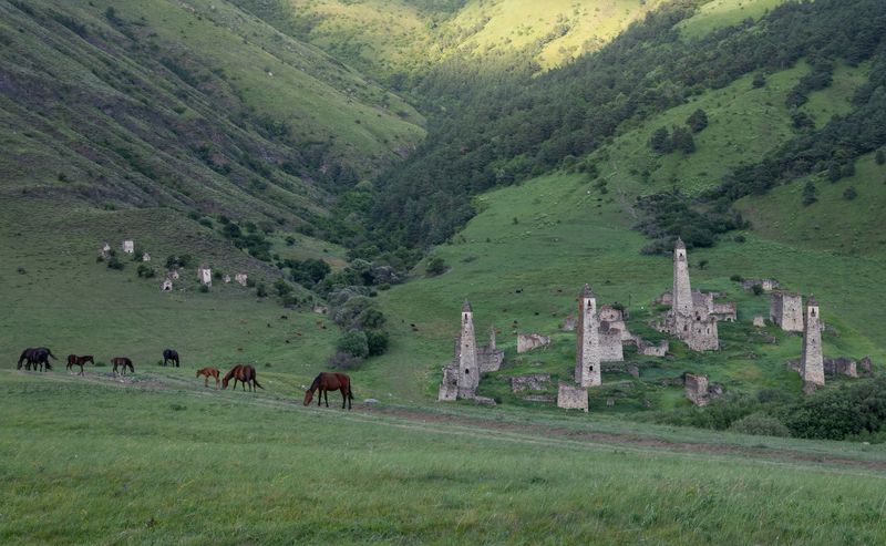 фото превью