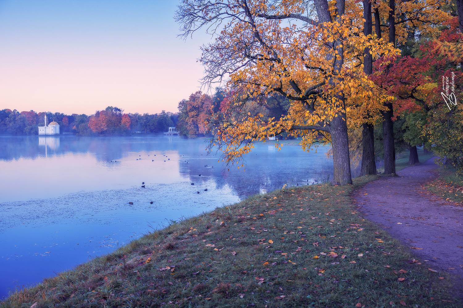 санкт-петербург, екатерининский парк, осень, утро, Липецких Владимир