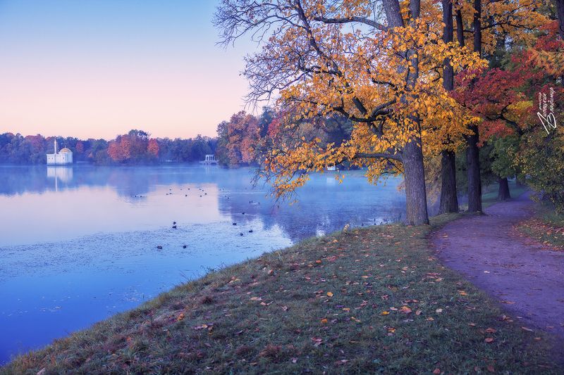 санкт-петербург, екатерининский парк, осень, утро По осенним паркам Санкт-Петербурга. фото превью