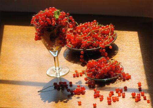 В кусочке солненого света