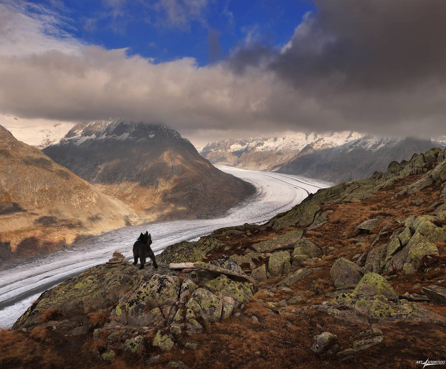 swiss, Матвеев Николай
