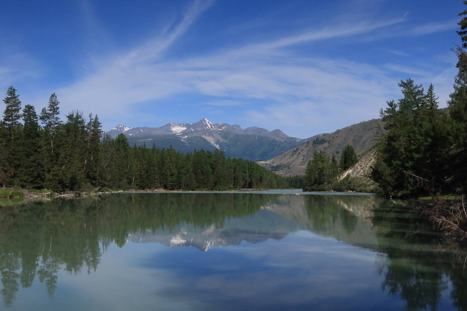 алтай,река аргут,катунский хребет,деревья,отражение,лето, Козлова Галина