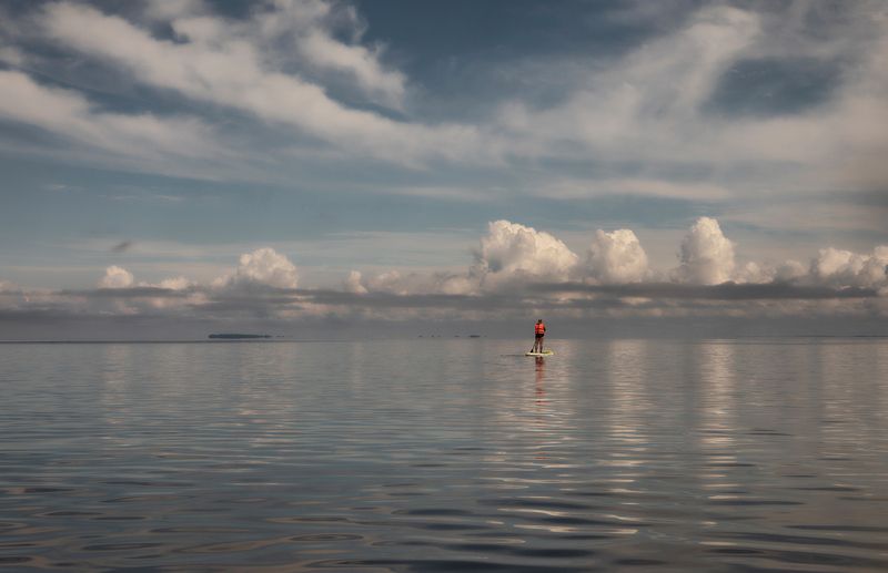 अद्यं जीव фото превью