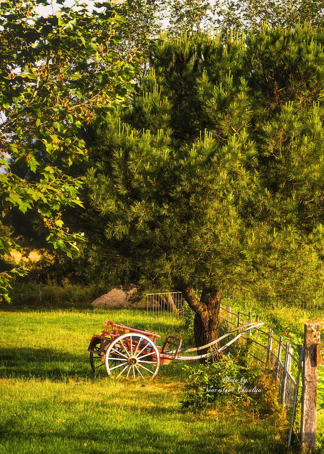 , Veaceslav Chisalita