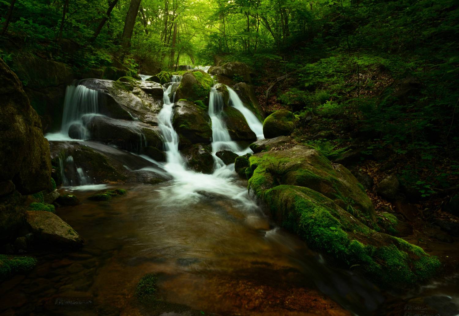 приморье, Едуш Сергей