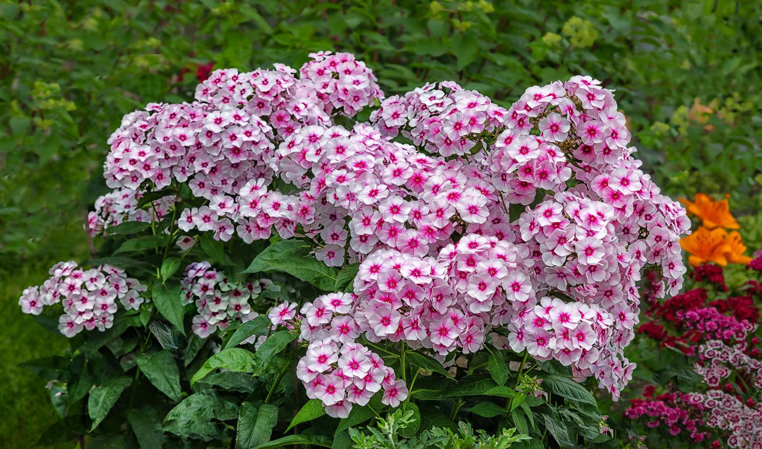 , Ушаков Валерий