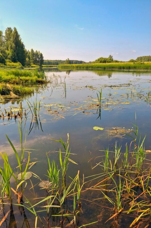 Костромской край: на воде. фото превью