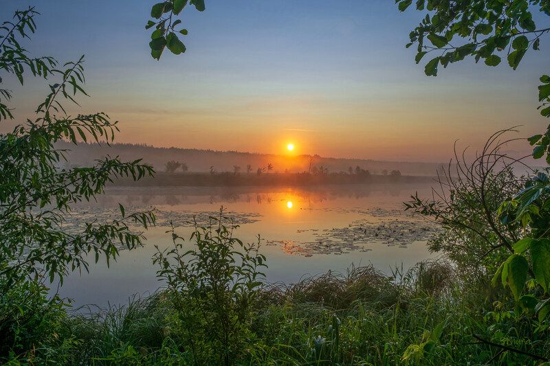 Лето. Рассвет. фото превью
