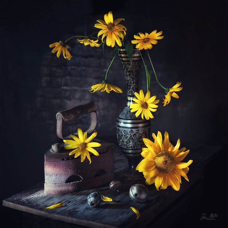 Солнышки фото превью