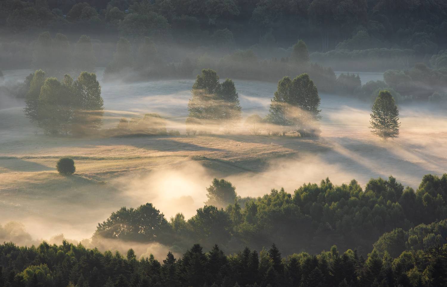 ,  Mirosław Pruchnicki