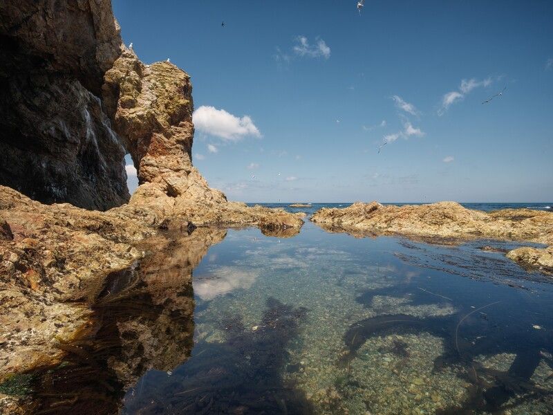 Сахалин. 2025 фото превью