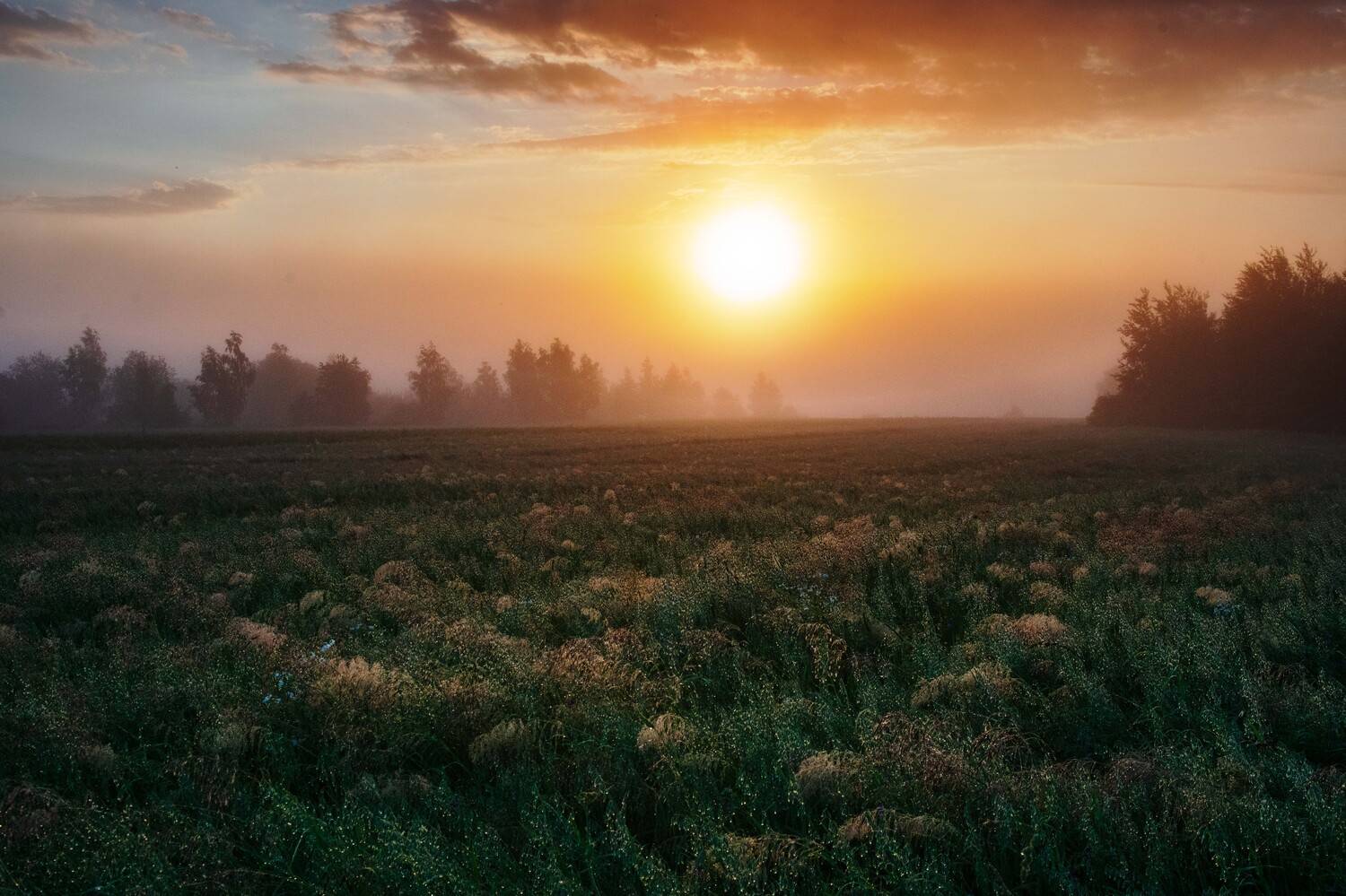 , Павел Ныриков