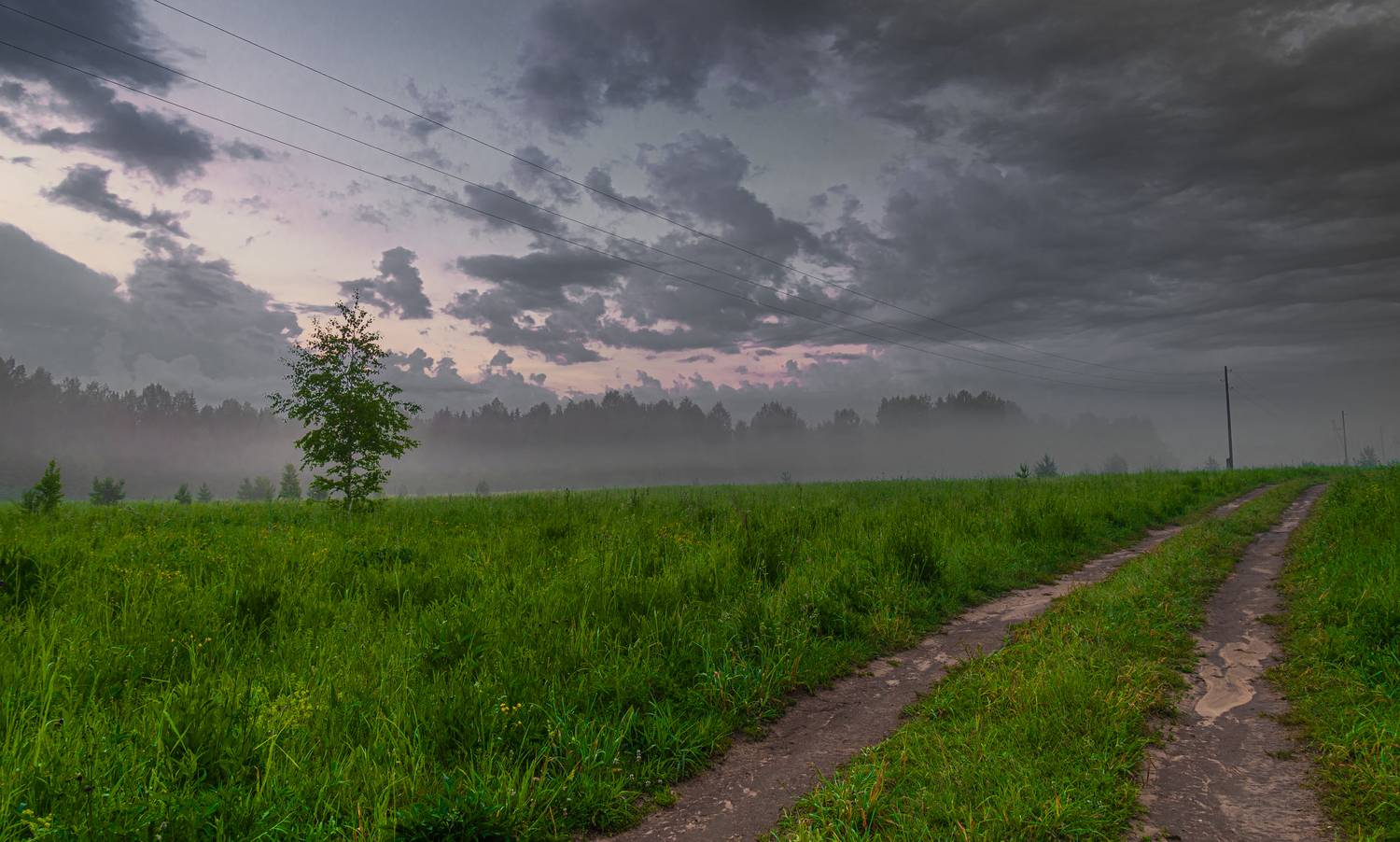 , Кокорин Алексей