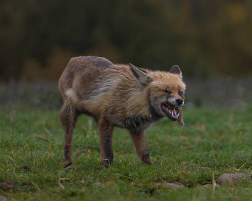 Жизнь была не легка...