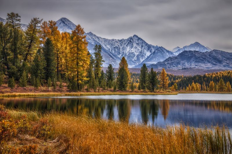 Осенние мотивы ... фото превью