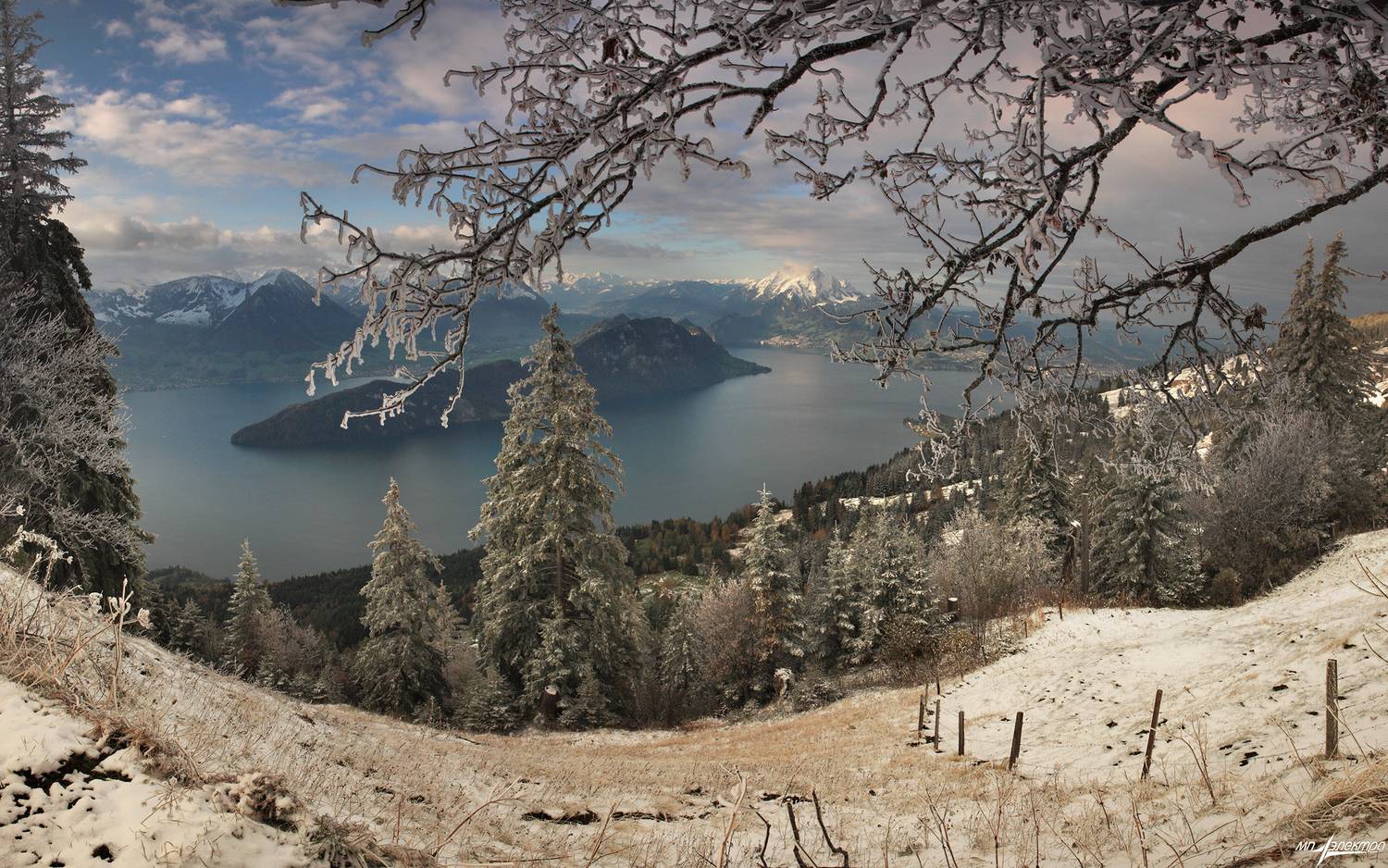 swiss, Матвеев Николай