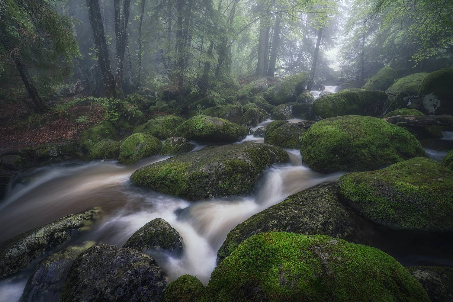 landscape, nature, scenery, forest, wood, mist, misty, fog, foggy, river, longexposure, mountain, rocks, vitosha, bulgaria, туман, лес, Александър Александров