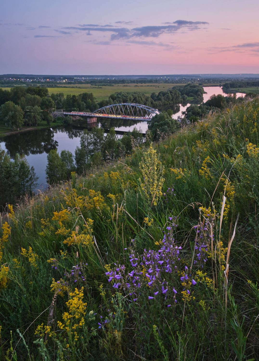 река,зай,татарстан,вечер,мост,склон,цветы, Горшков Игорь