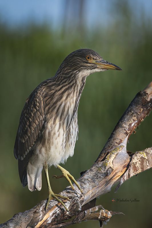 Детский сад. фото превью