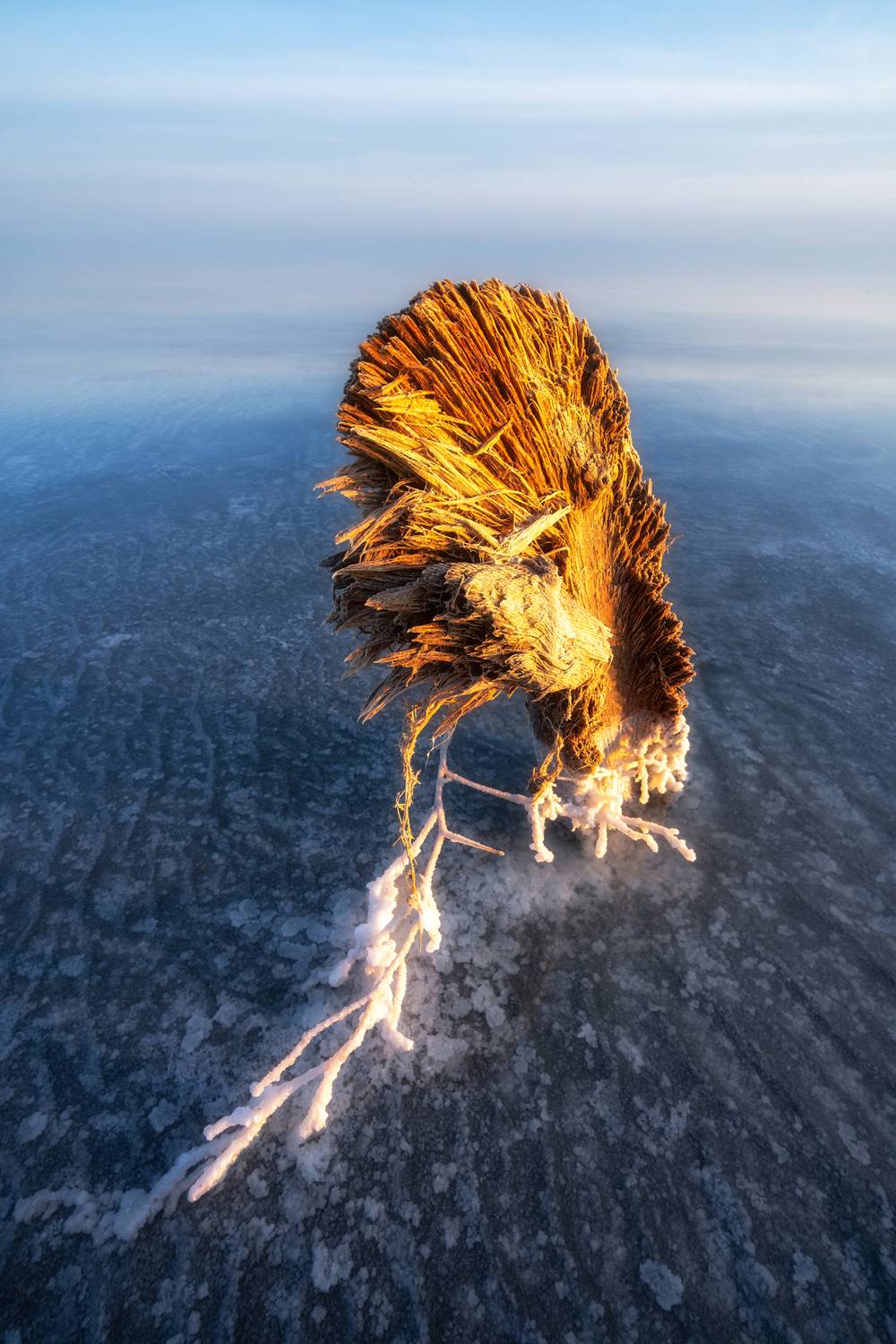 , Михаил Харитонычев