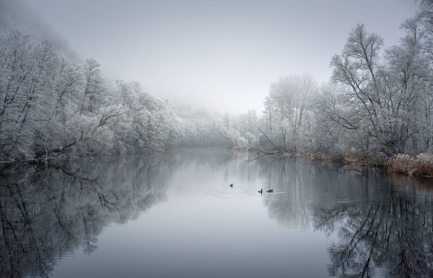 горизонтальный., нет, людей., фотография., на, улице., природа., живопись-природа., небо., облако-небо., горизонт., над, водой., красота, в, природе., драматическое, небо., отражение., спокойствие., снег., туман., Ожерельев Андрей