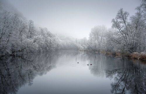 Утренняя Тишина