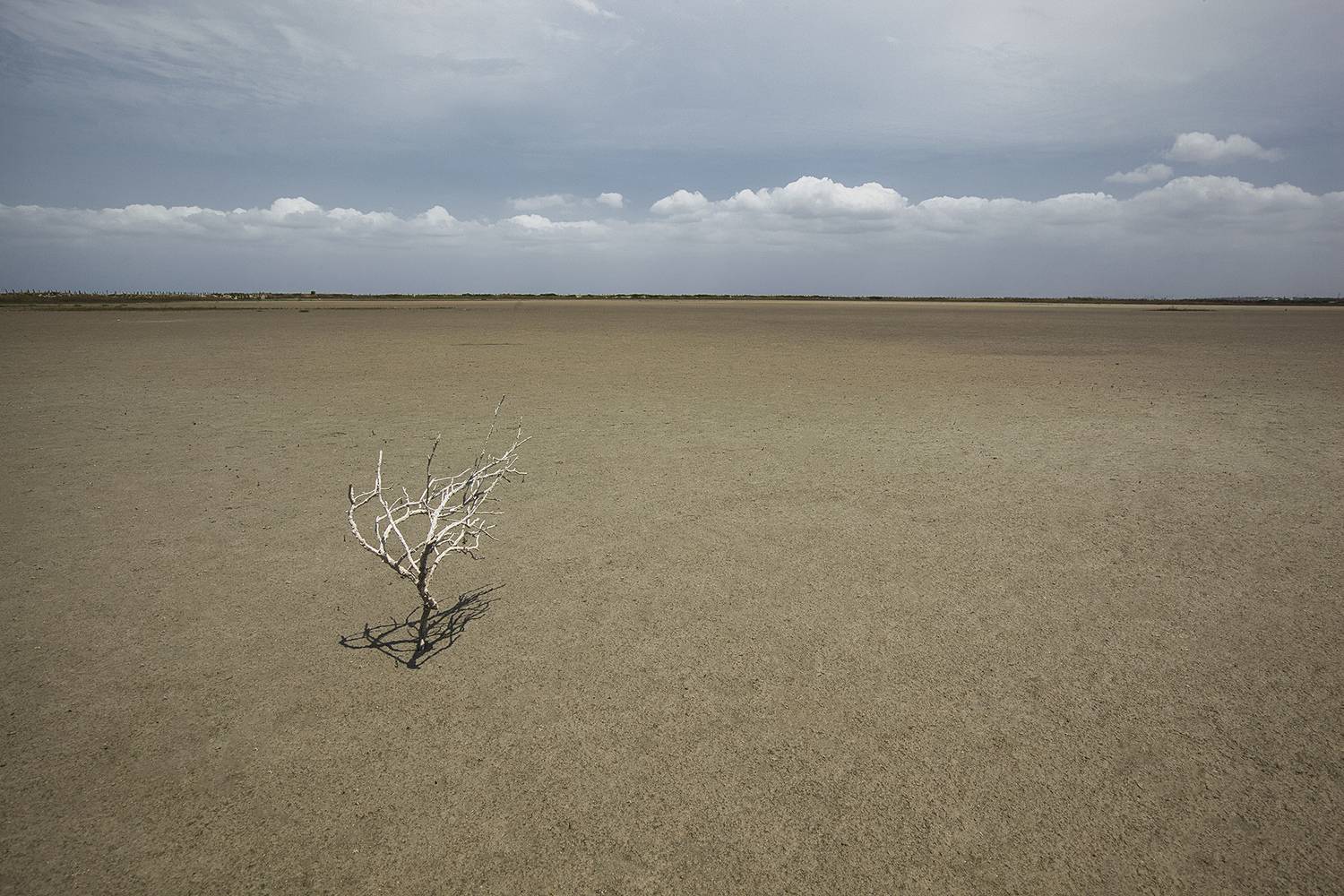 , Аседач Александр