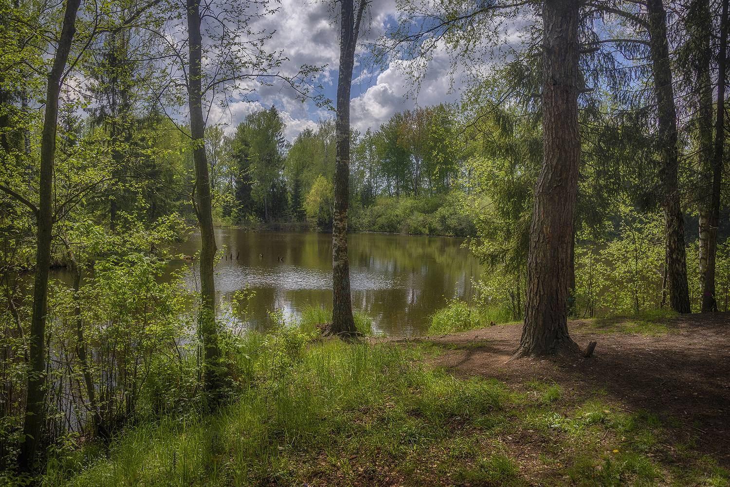 , Сергей Аникин