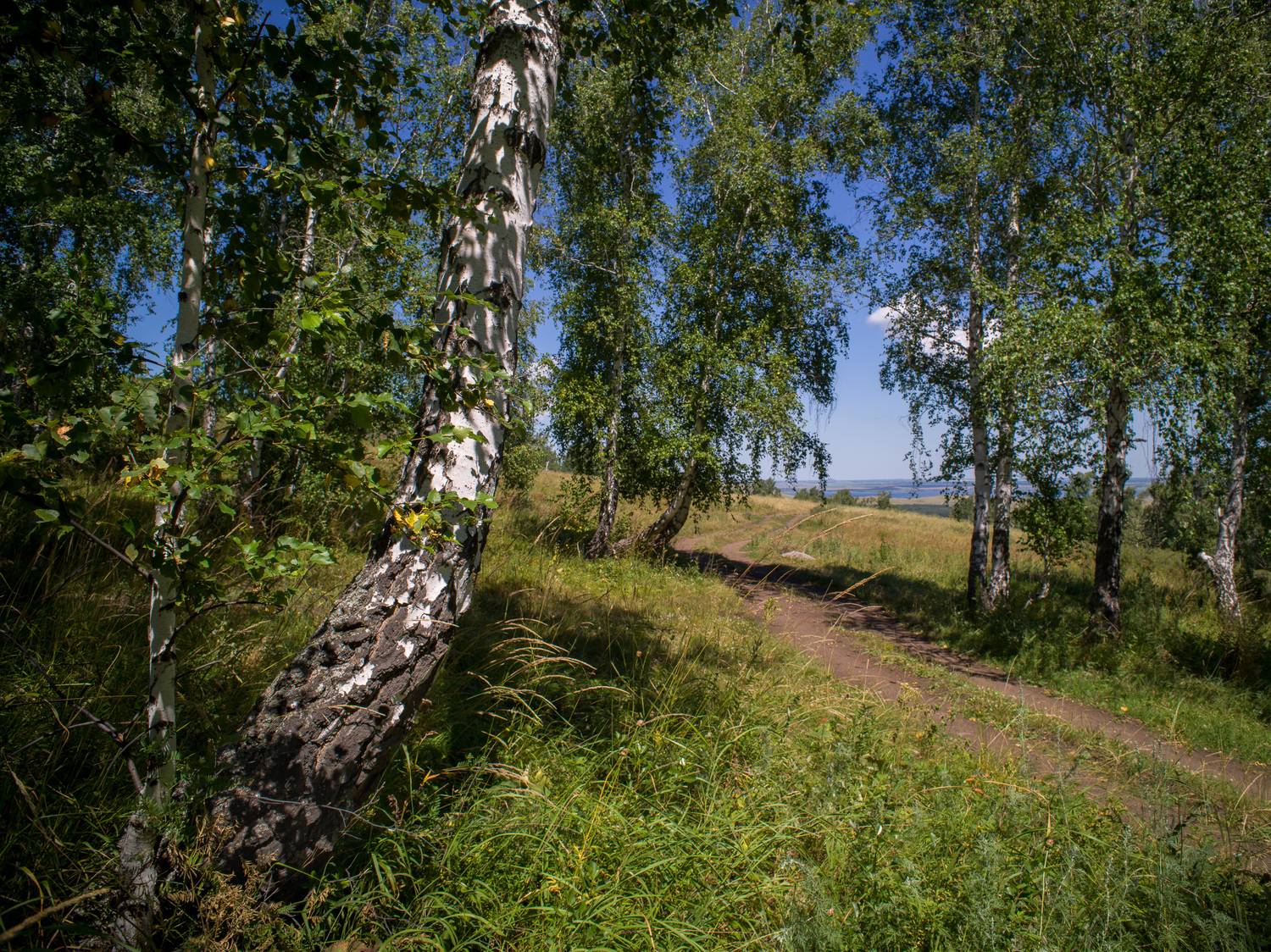 , Шустиков Дмитрий