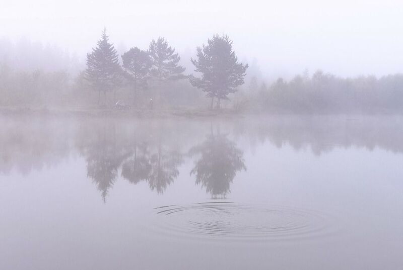 Тишина фото превью