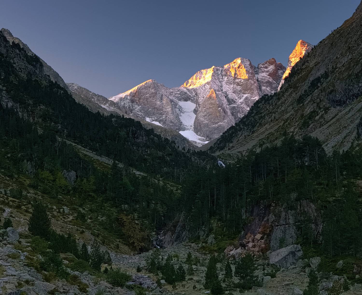 , Wojciech Tarnowski