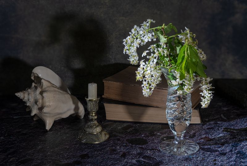 Этюд с черемухой фото превью