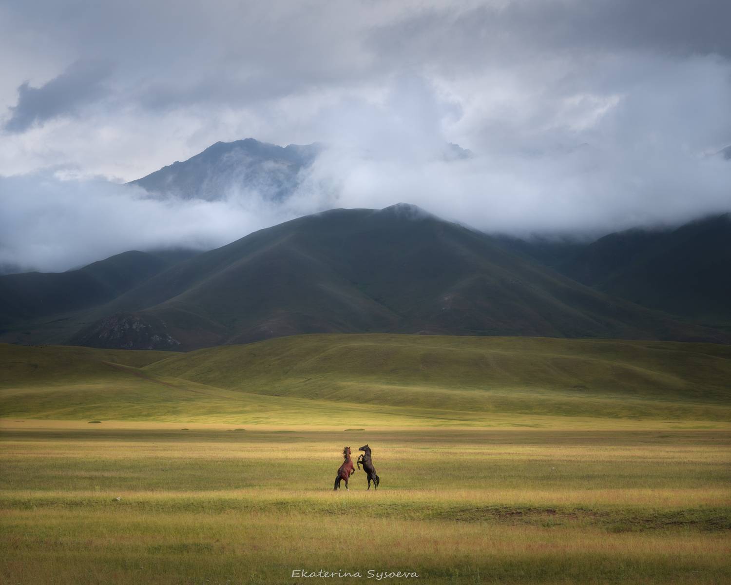 , Екатерина Сысоева