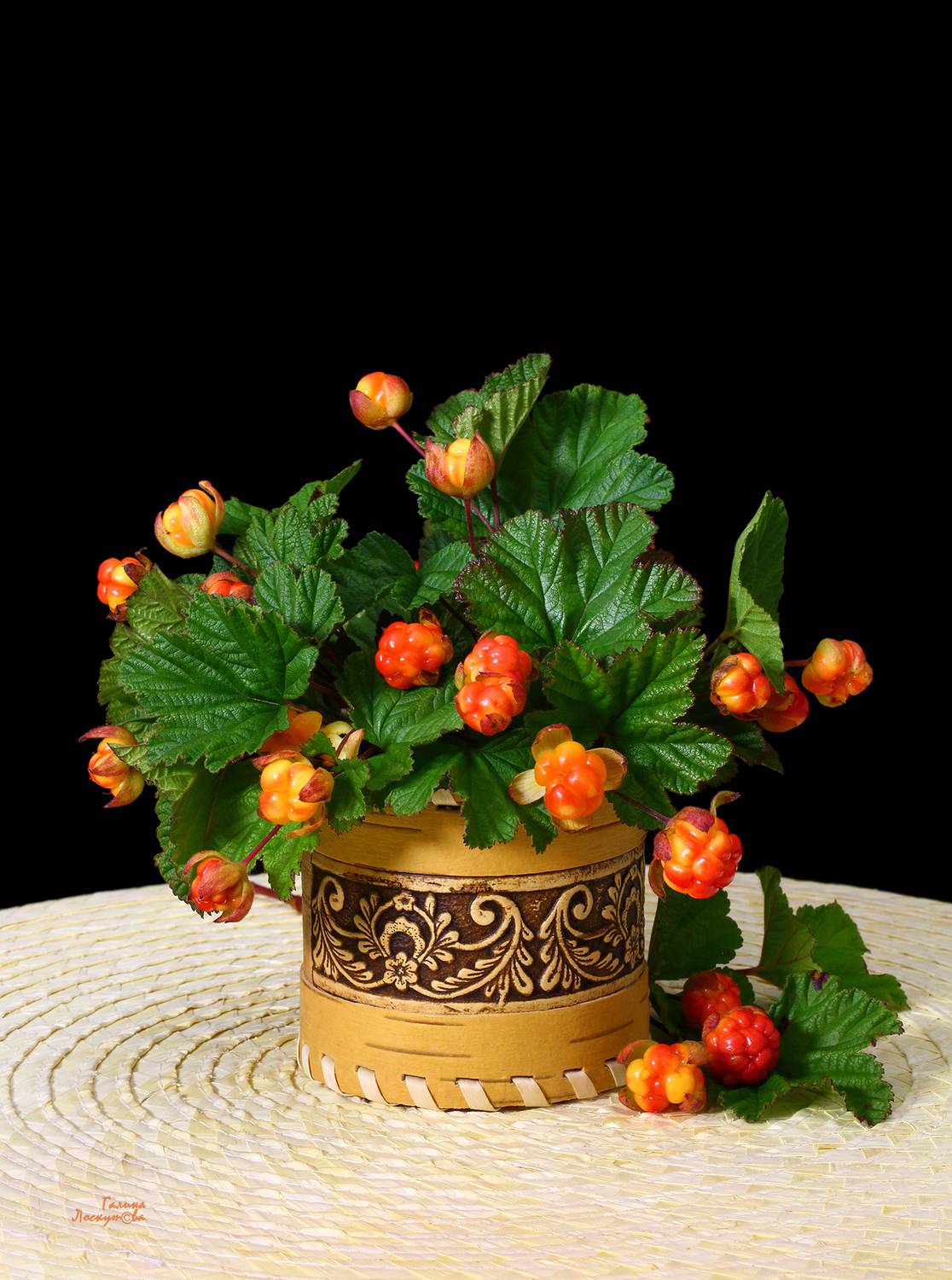 морошка, букет, туесок, черный фон, Галина Лоскутова