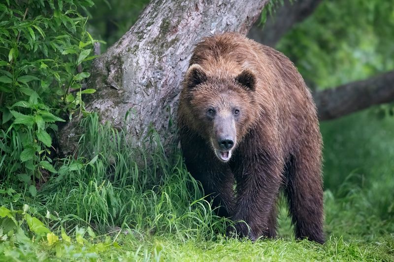 О! завтрак! фото превью