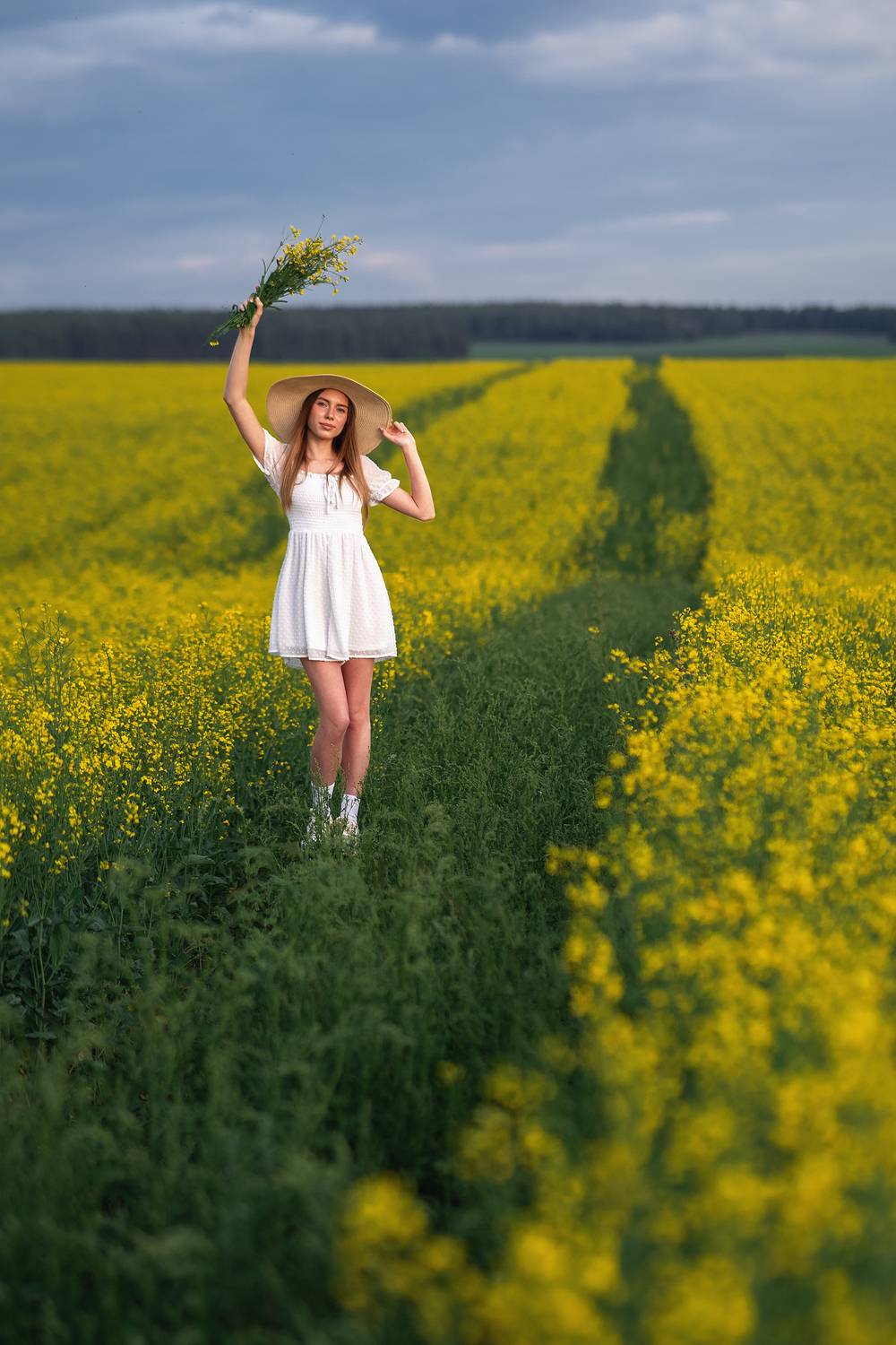 , Тихий Александр