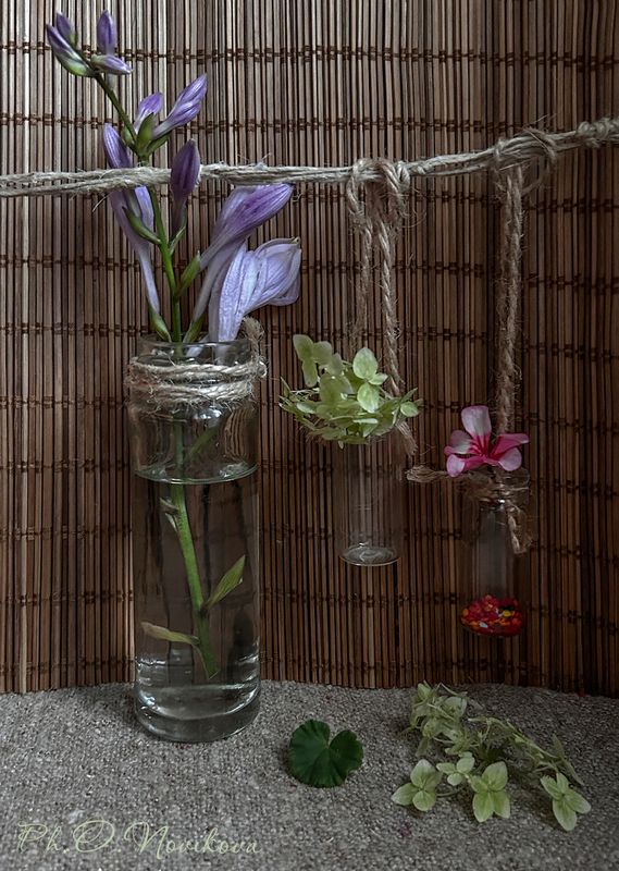 *** фото превью