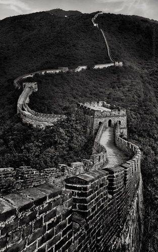 Каменный дракон