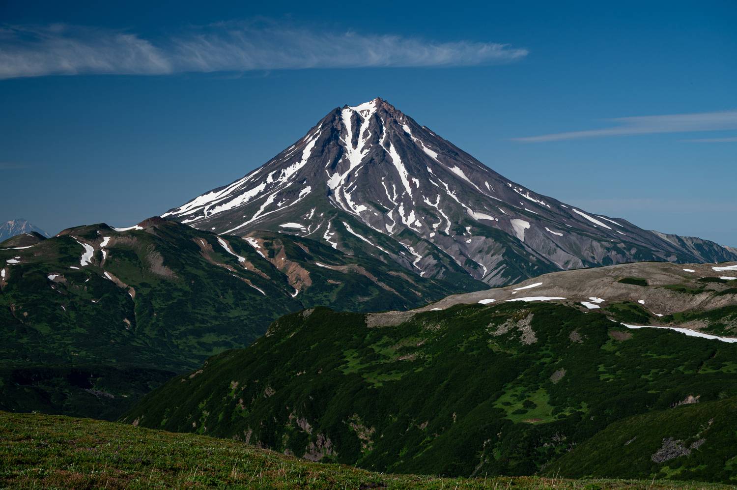 , Александр Мухин