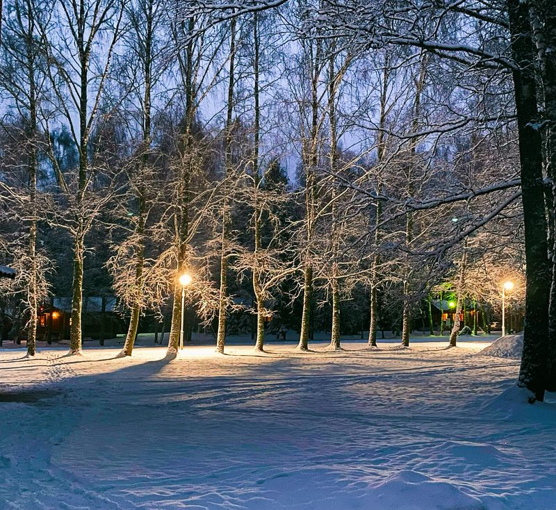 Зима в Пушкинский горах фото превью