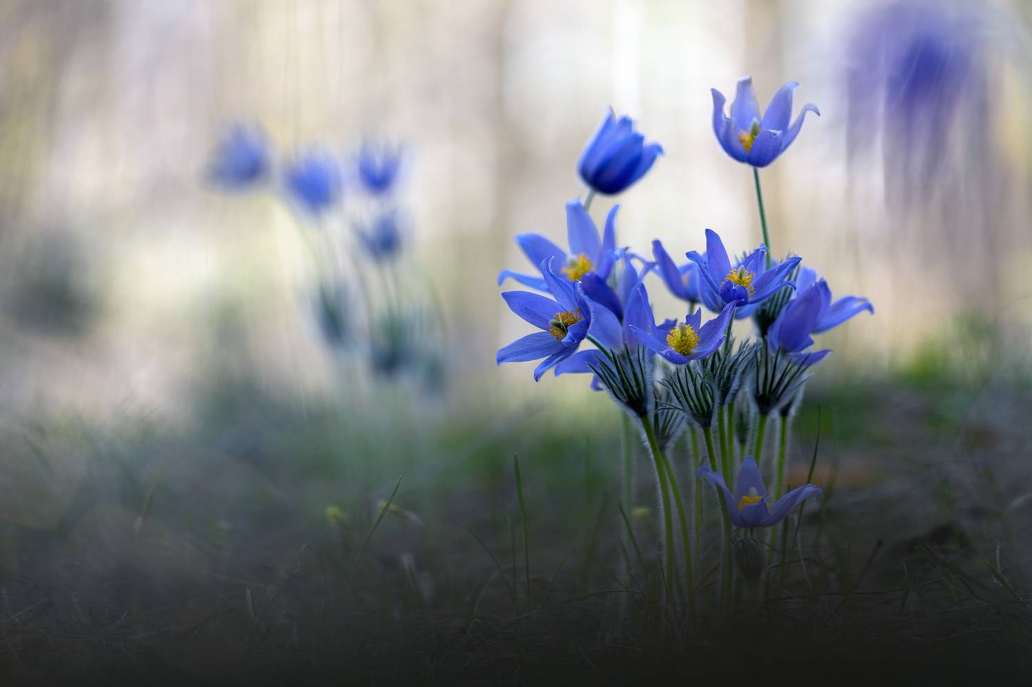 , Кузнецов Дмитрий