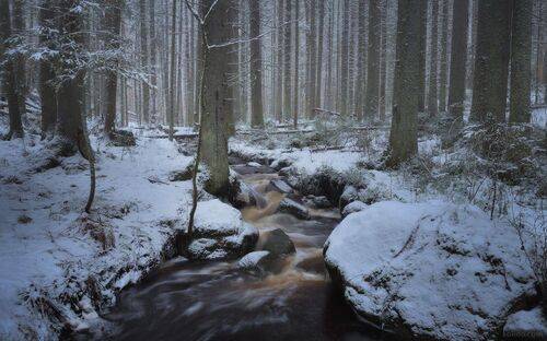Зима в Ленинградской области