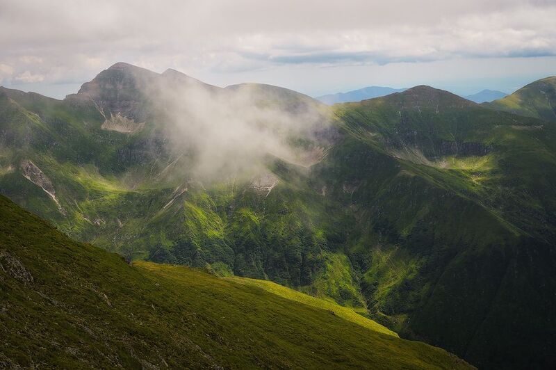 2025 фото превью