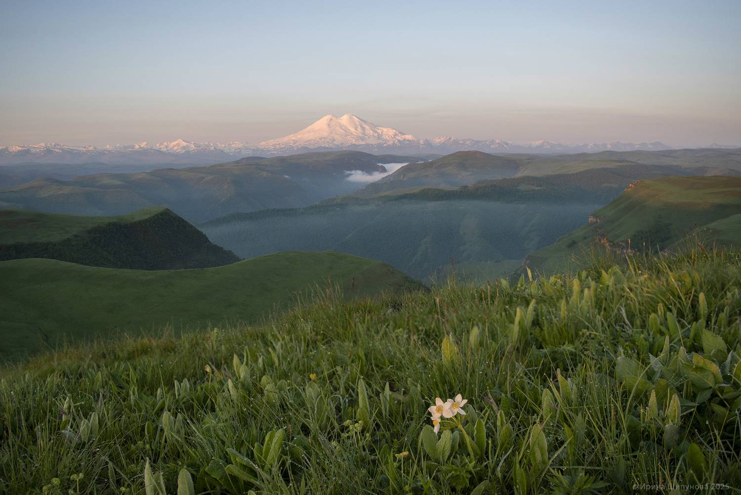 , Шипунова Ирина